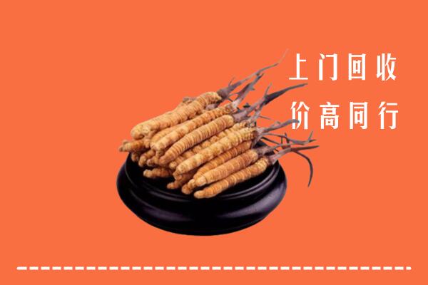 高价求购：深圳市深汕回收散虫草