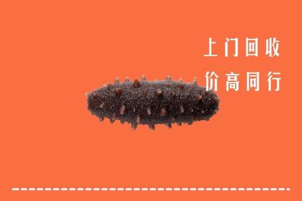 高价求购：深圳市深汕回收海参